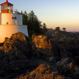 Meet your Posher, Liz